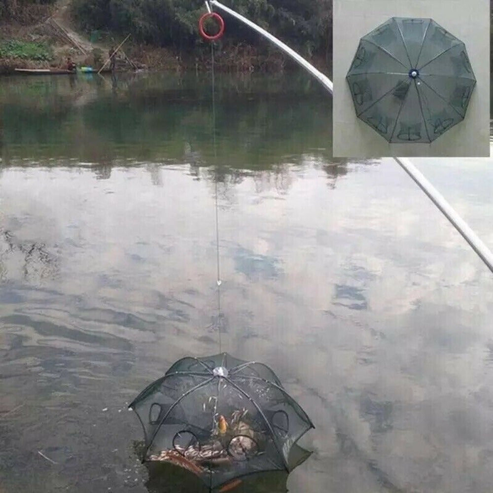 Foldable Fishing Bait Trap for Crabs, Minnows & Shrimp