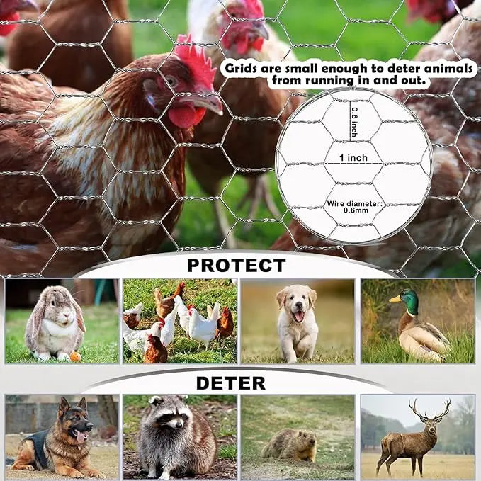 Galvanized Chicken Wire Mesh for Garden and Crafts