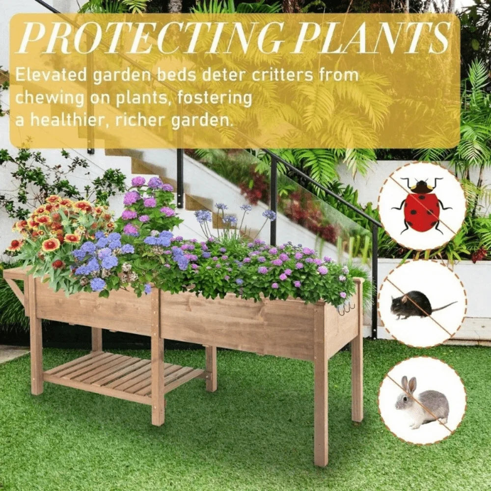 Raised Garden Bed Outdoor Wooden Elevated Garden Box