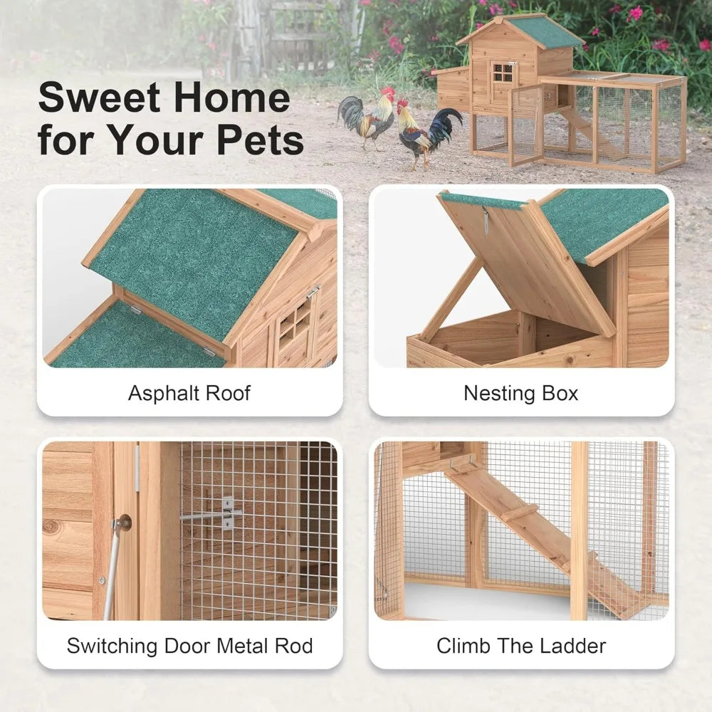 Outdoor Chicken Coop for 2-4 Chickens
