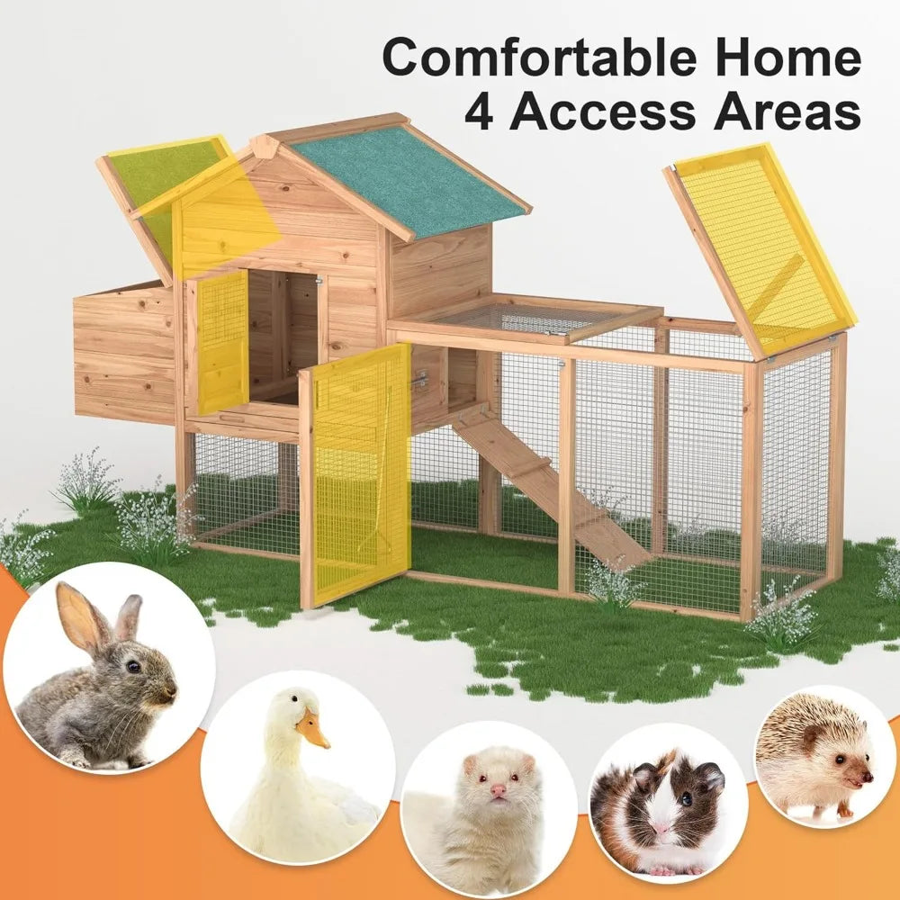 Outdoor Chicken Coop for 2-4 Chickens
