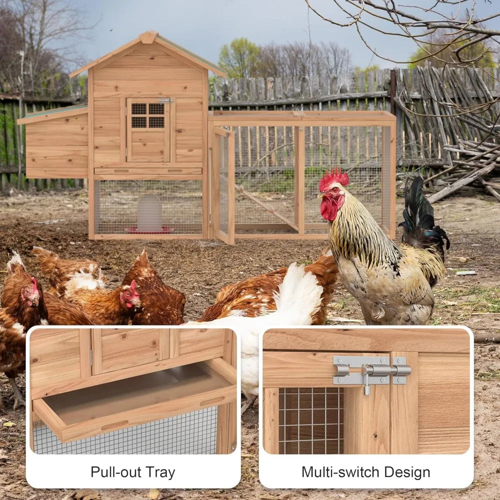 Outdoor Chicken Coop for 2-4 Chickens